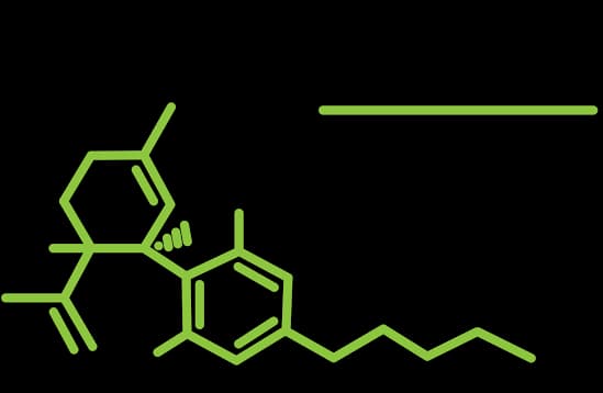 CBD for scalp health